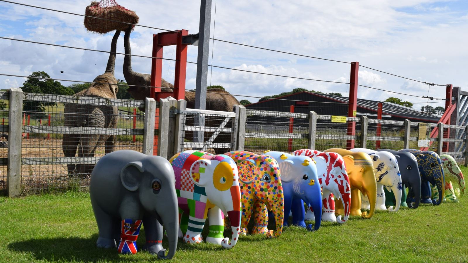 Elephant Parade is coming to Noah’s Ark Zoo Farm